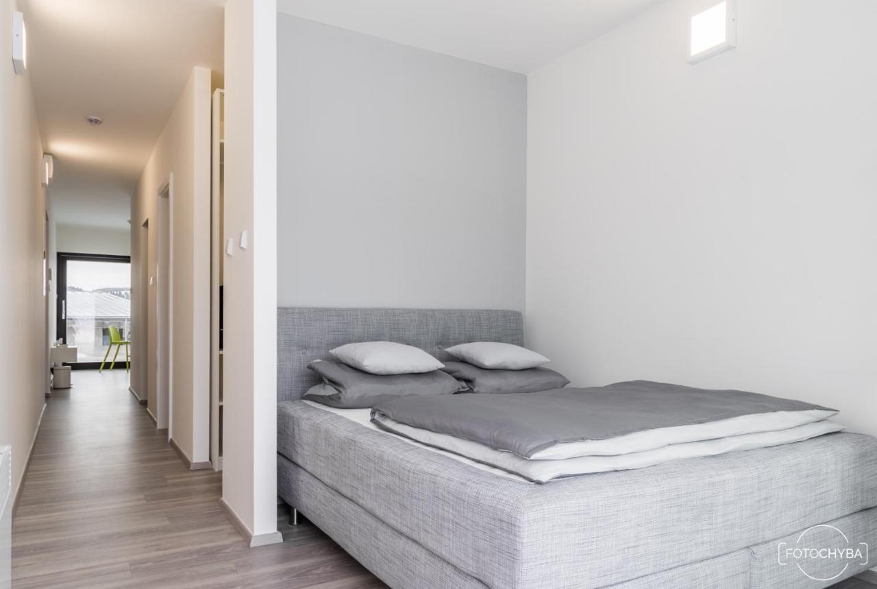Villa Klinak Horsky Dum 140 à Loučná pod Klínovcem Extérieur photo